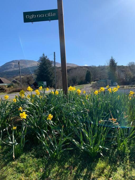 Tigh Na Cille Studio, Taynuilt Eksteriør bilde